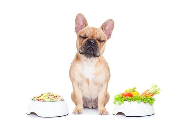 How Much to Feed a Puppy by Its Weight/ KG