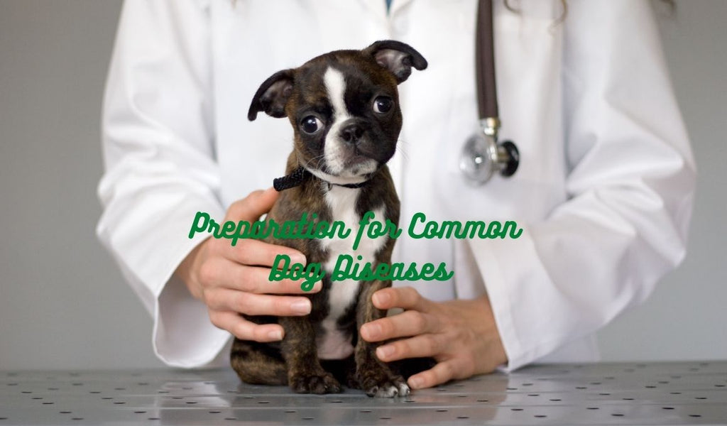 First Time Dog Parents: Prepare for the Common Dog Diseases