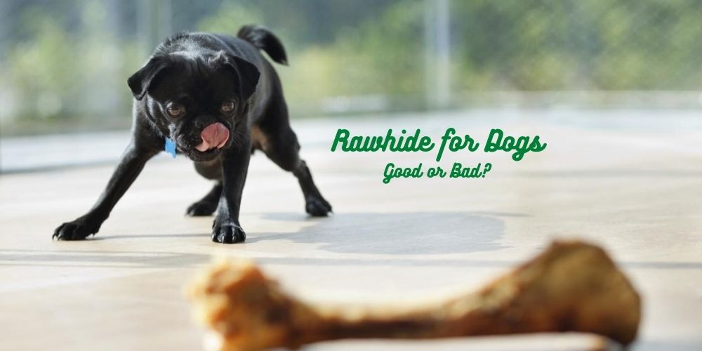 Rawhide For Dogs - Is it Truly Good or Bad?