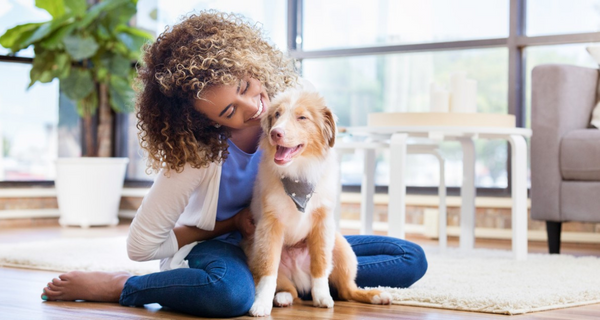 Puppy Socialisation - How to Do It Like an Expert