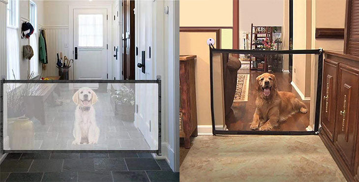 Pet Safety Mesh Gate - Guide to Choose The Best One