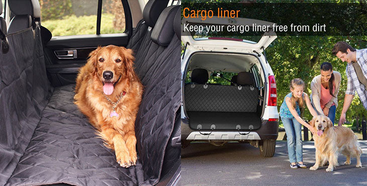 Best Pet Car Seat Covers from DryPaws to Buy in 2022